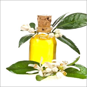 Amyris Balsamifera Pure Essential Oil