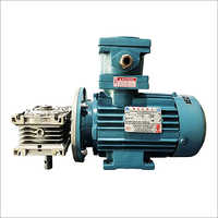 Special Application Motors