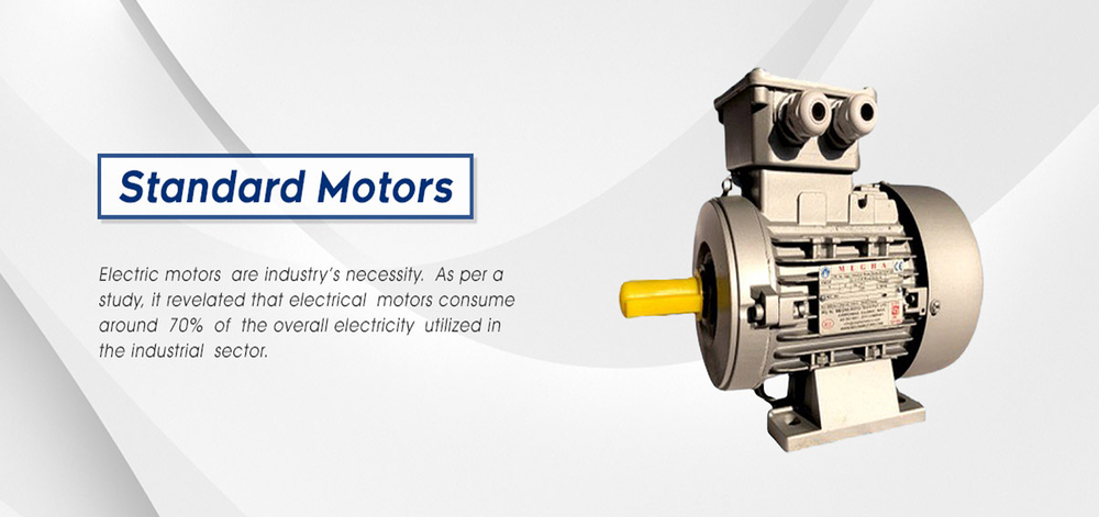 Standard Electric Motors - Phase: Three Phase