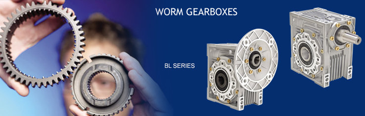 BL Series MS Worm Gearbox