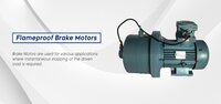 Industrial Flame Proof Motors