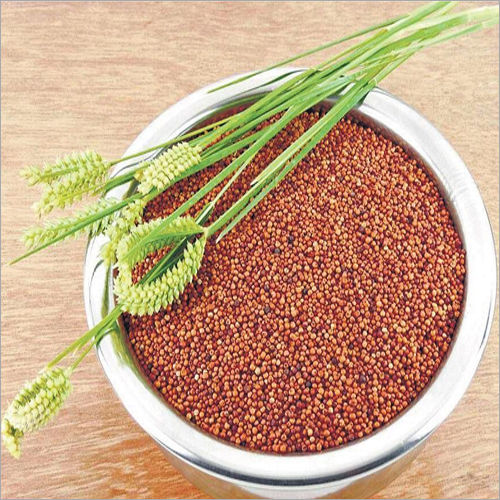 Organic Natural Finger Millet Seeds