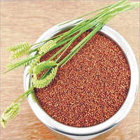 Natural Finger Millet Seeds