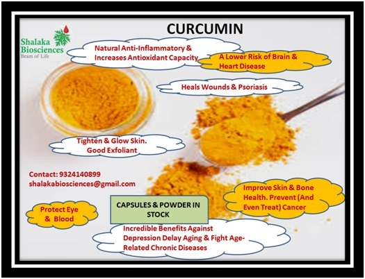 Curcumin longa powder