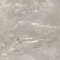 Polished Porcelain Floor Tiles