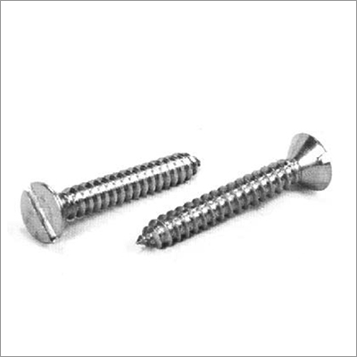 SS Slotted Head Self-Tapping Screw