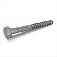 Ss Coach Screw