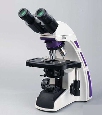 Binocular Microscope (Vxl Bino)