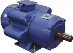 Single Phase Electric Motor