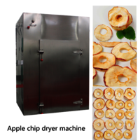 CT-C-I Vegetable drying machine apple chip dryer machine fruit mango dryer machine
