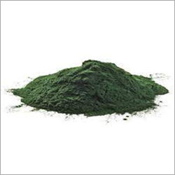 Spirulina Powder Extract