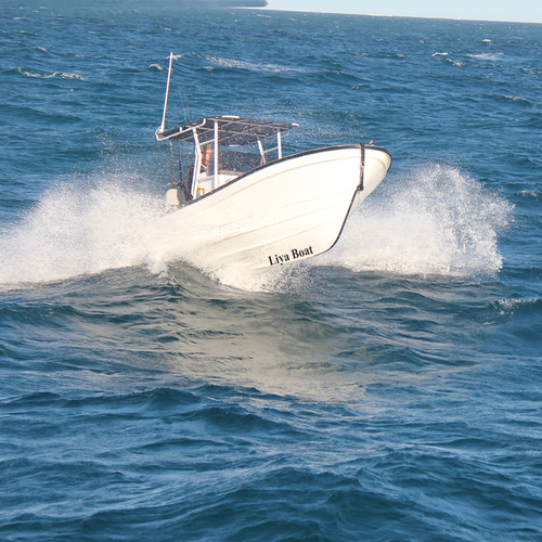Liya 9.18m fiberglass hull fishing boat panga boats