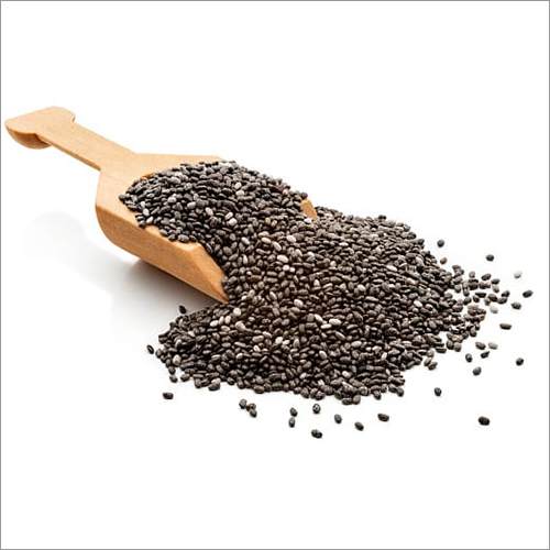 Fresh Chia Seeds By PHOENIX AGRO SERVICES
