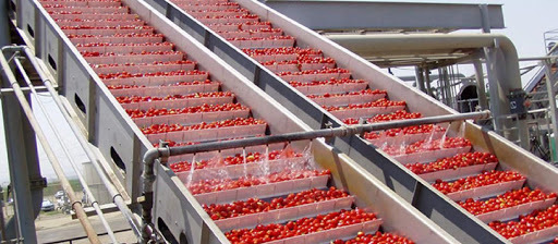 General Duty Conveyor Belt
