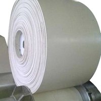 White Hygienic Conveyor Belt