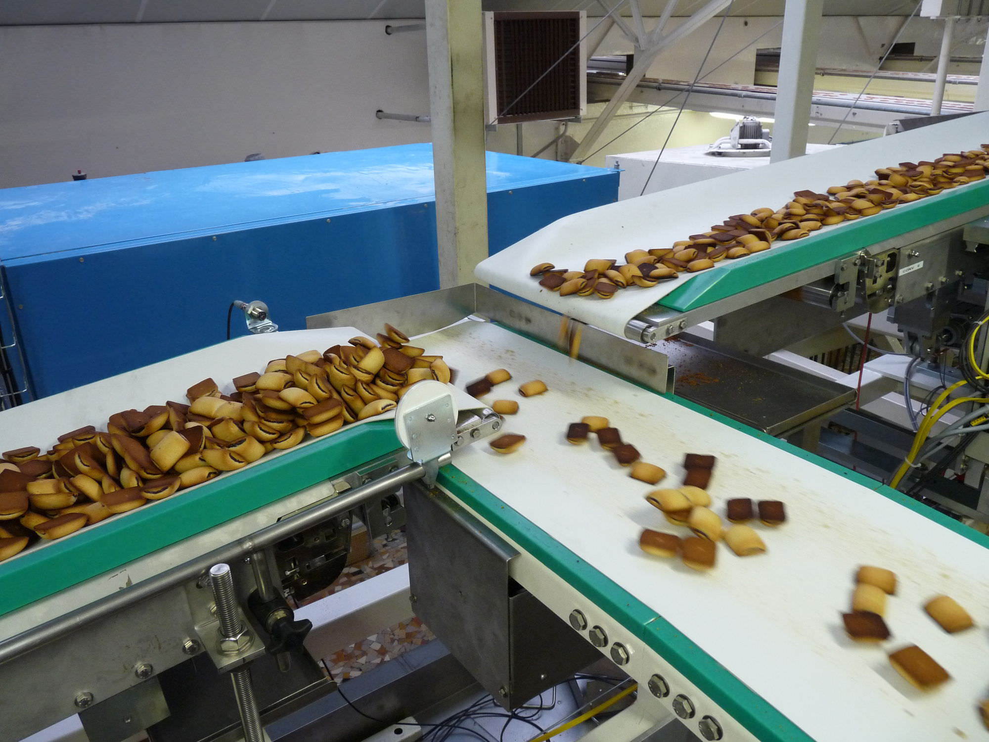 Food Grade Conveyor Belt