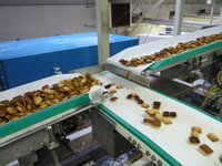 Food Grade Conveyor Belt