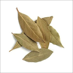 W300 Bay Leaves