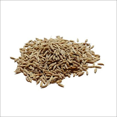 W410 Cumin Seed