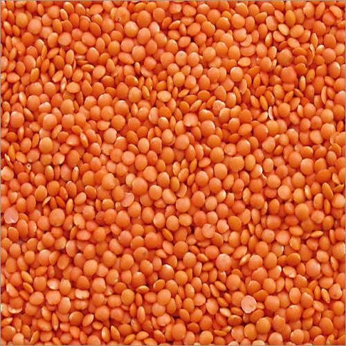 Indian Pulses