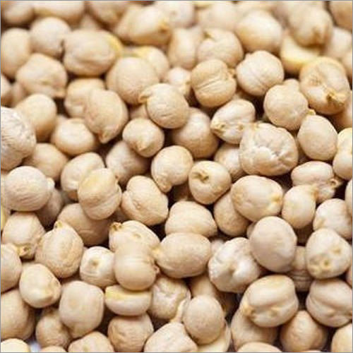 Kabuli Chickpeas