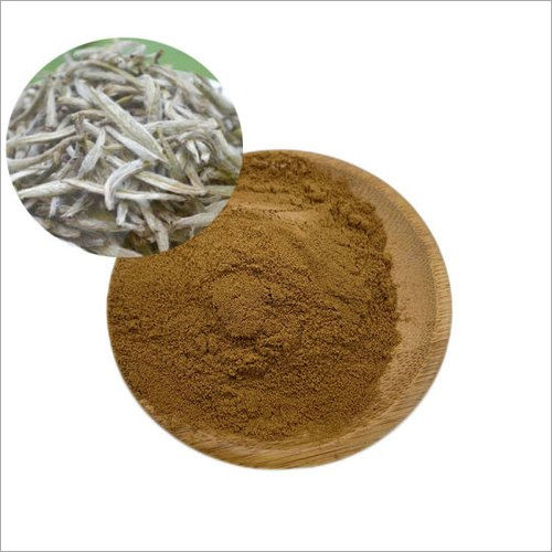 Plain White Tea Powder