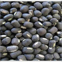 Urad Seed - Black, Kidney-shaped, Small Size | High Protein, Rich In Fiber, Gluten-free, 90% Germination Rate, Versatile Use, Less Than 1% Impurities