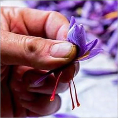 Kashmiri Natural Saffron