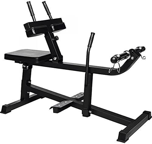 Seated Calf Machine