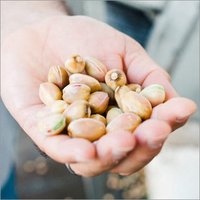 Fresh Pistachio Nut