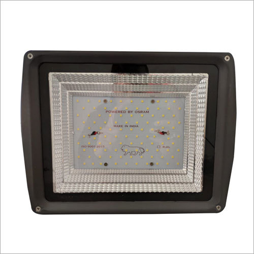 100 Watt Flood Light