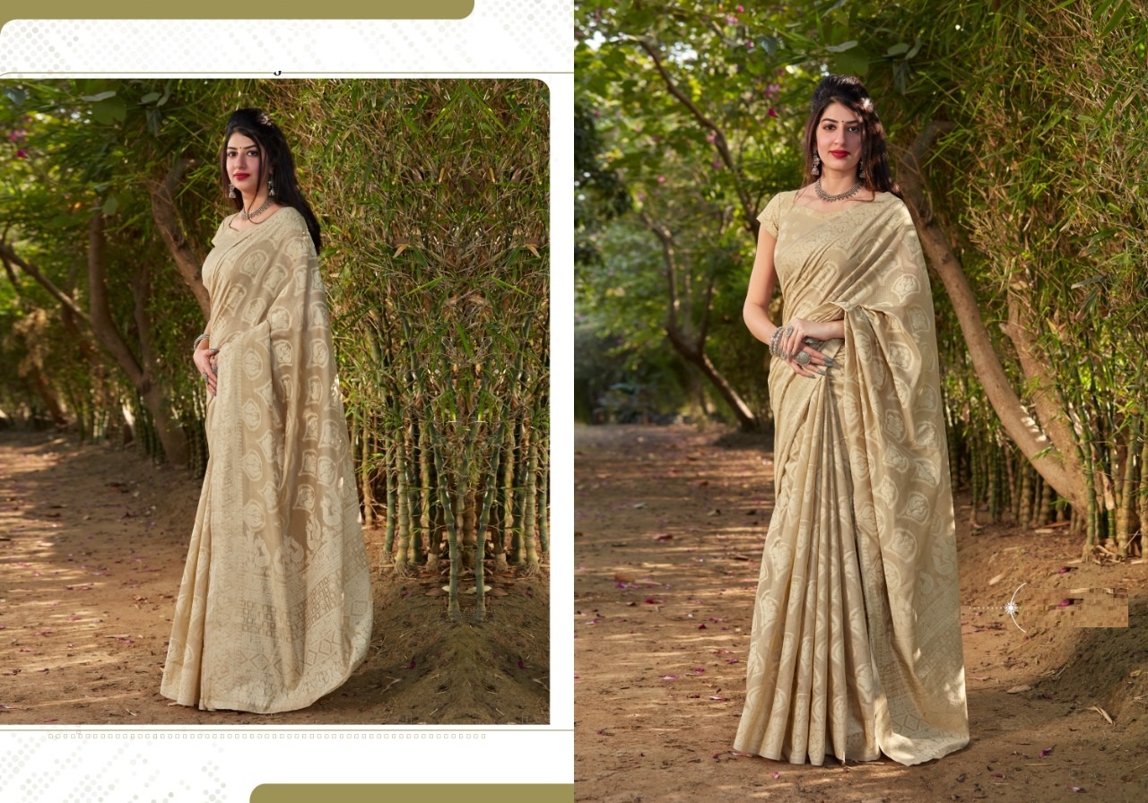 Organza saree