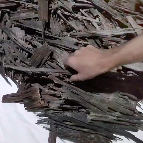 Organic Agarwood Apari