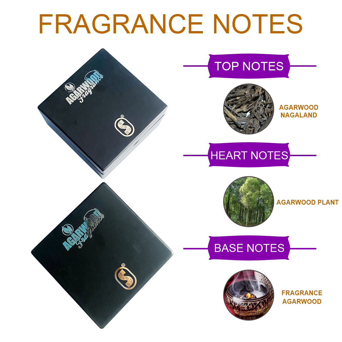 100% Organic Agarwood Nagaland
