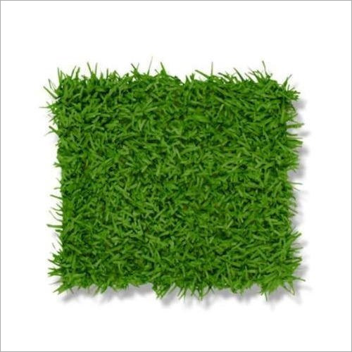 Artificial Green Grass Flooring By BHUSHAN ENTERPRISE