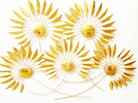 पर्यावरण के अनुकूल घर की सजावट की वस्तुएं