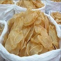 Fish Maw