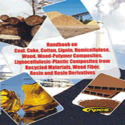 Wood and Its Derivatives Handbook