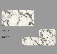 POLISHED GLAZED PORCELAIN TILE