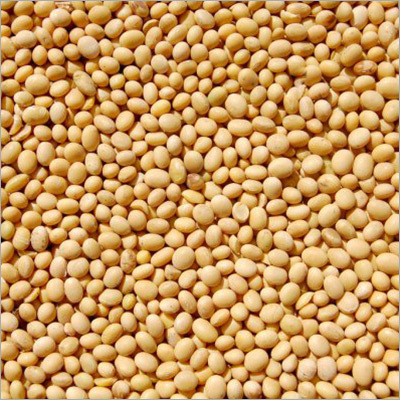 Soyabean Seeds