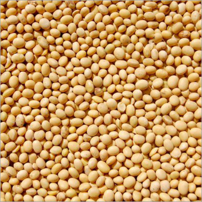 Soyabean Seeds By EXPRESS ENTERPRISES