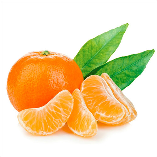 Fresh Orange By EXPRESS ENTERPRISES