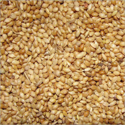 Foxtail Millet