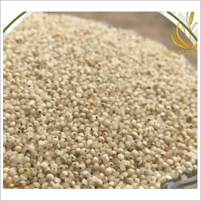 Barnyard Millet