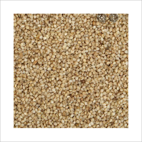 Little Millet