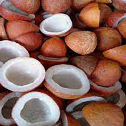 Common Dry Coconut