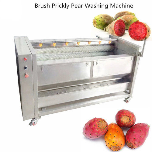 Automatic Prickly Pear Cleaning Machine Prickly Pear  Washing Machine Prickly Pear  Processing Machine Capacity: 500 Kg/Hr