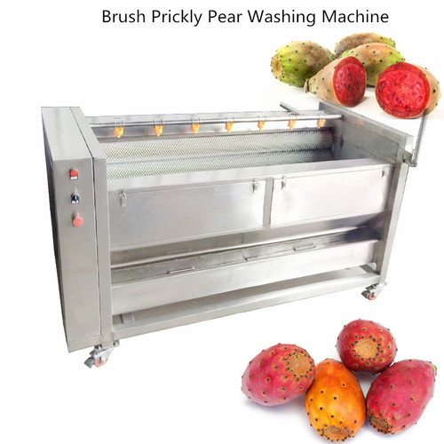 Automatic prickly pear cleaning machine prickly pear  washing machine prickly pear  processing machine