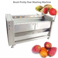 Automatic prickly pear cleaning machine prickly pear  washing machine prickly pear  processing machine