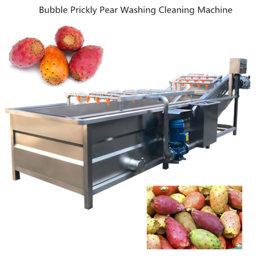 Automatic Bubble Cactus Fruit  Cleaning Machine Cactus Fruit Washing Machine Prickly Pear Cleaning Machine Capacity: 500-1000